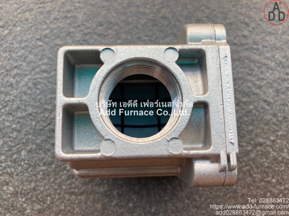 Pietro Fiorentini Gas Filter FMF1000300FA (9)
